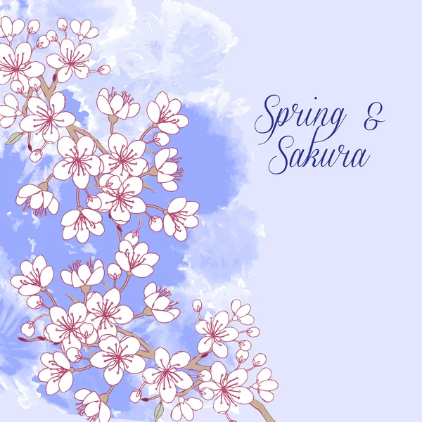 Sakura ile arka plan — Stok Vektör