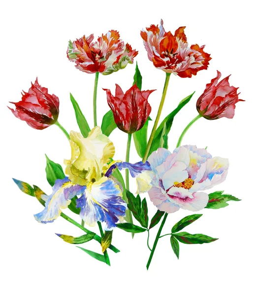 Bukett med tulpaner, iris och pion — Stockfoto