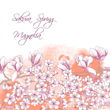 Sakura ve Manolya