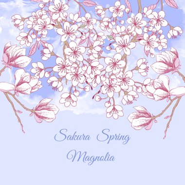 Sakura ve Manolya