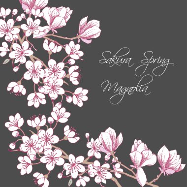 Sakura ve Manolya