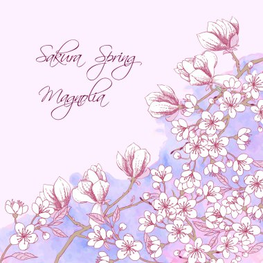 Sakura ve Manolya