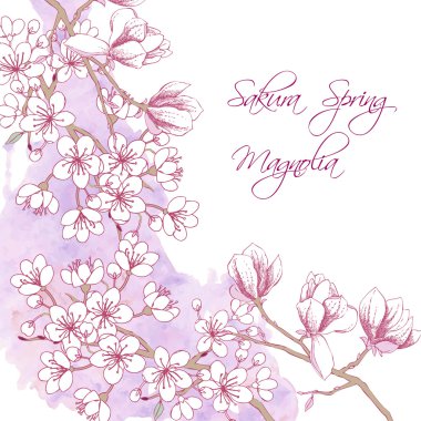 Sakura ve Manolya