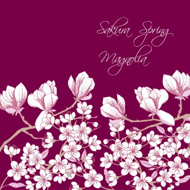 Sakura ve Manolya