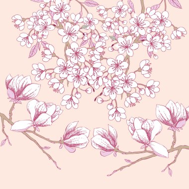 Sakura ve Manolya