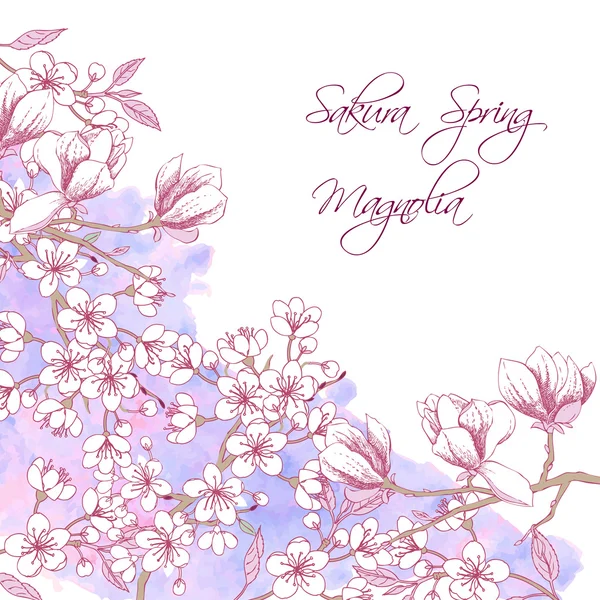 Sakura and Magnolia — Stock Vector