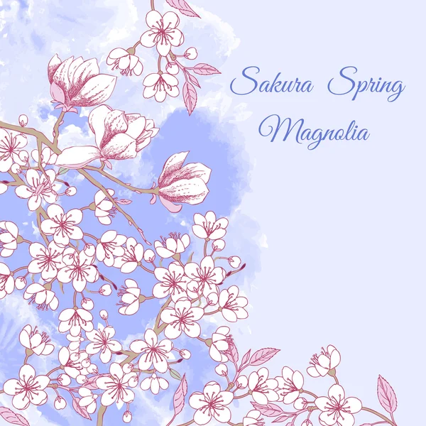 Sakura e Magnólia —  Vetores de Stock