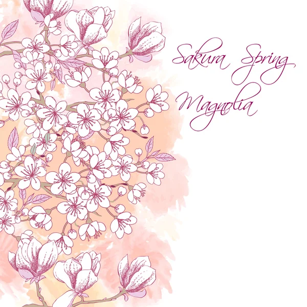 Sakura och Magnolia — Stock vektor