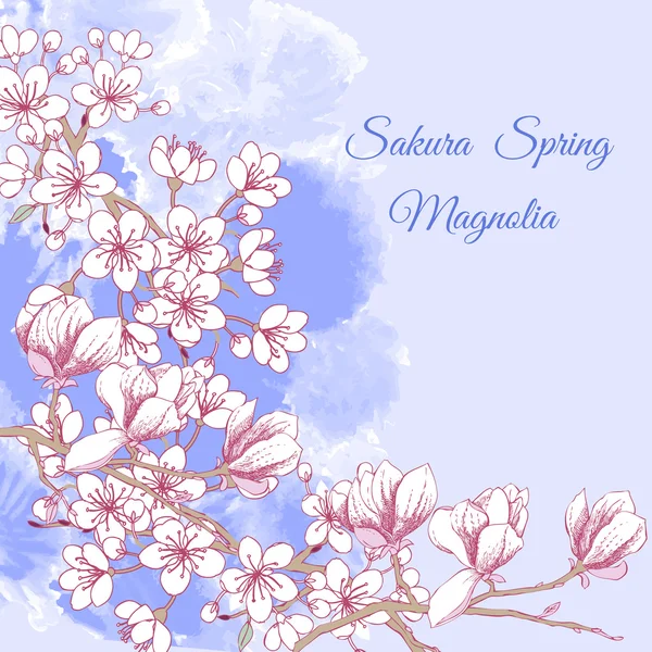 Sakura och Magnolia — Stock vektor