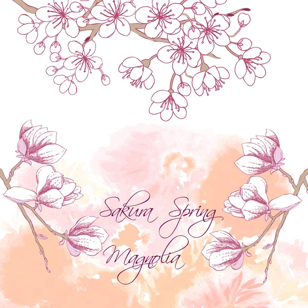 Sakura et Magnolia — Image vectorielle