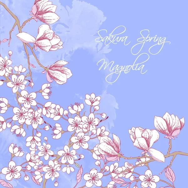 Sakura e Magnólia — Vetor de Stock