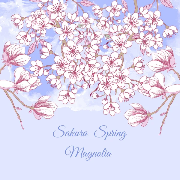 Sakura ve Manolya — Stok Vektör