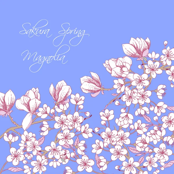 Sakura e Magnólia —  Vetores de Stock