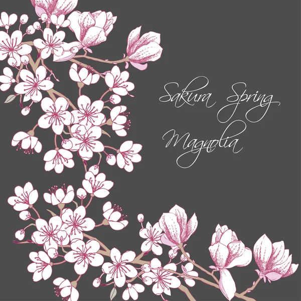 Sakura i Magnolia — Wektor stockowy