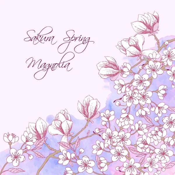 Sakura y Magnolia — Archivo Imágenes Vectoriales