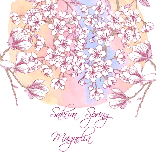 Sakura und Magnolie — Stockvektor