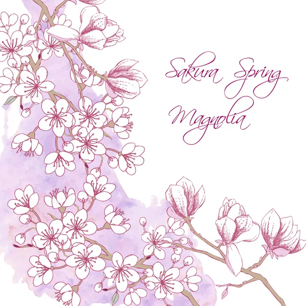 Sakura ve Manolya — Stok Vektör