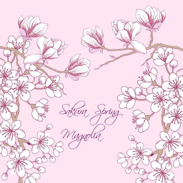 Sakura i Magnolia — Wektor stockowy