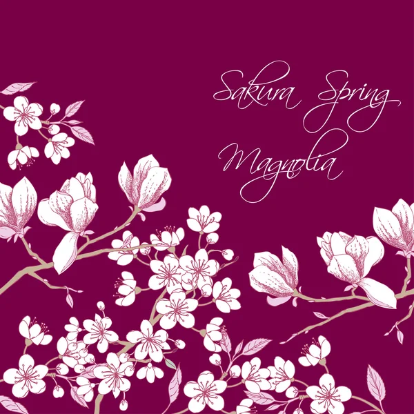 Sakura ve Manolya