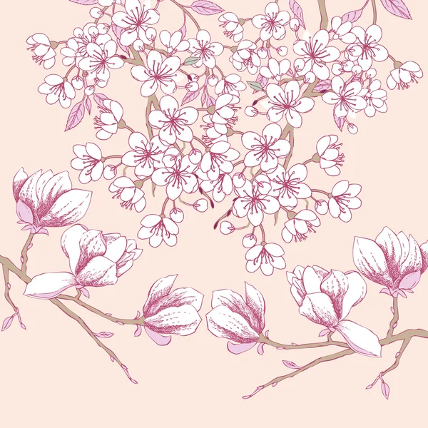 Sakura e Magnolia — Vettoriale Stock