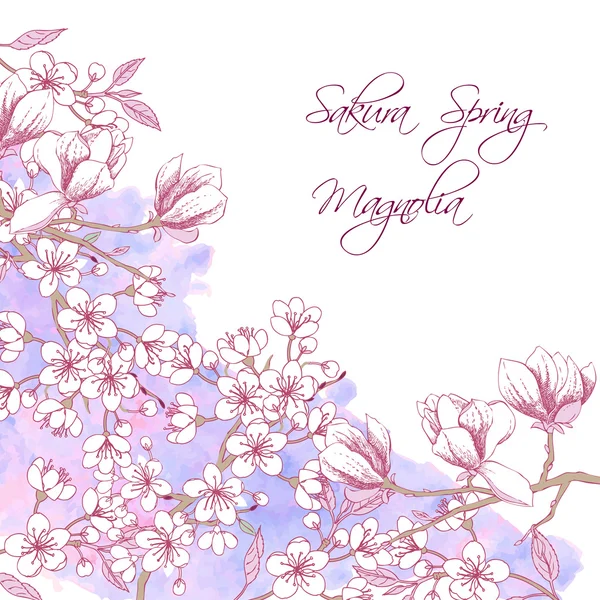 Sakura ve Manolya — Stok Vektör