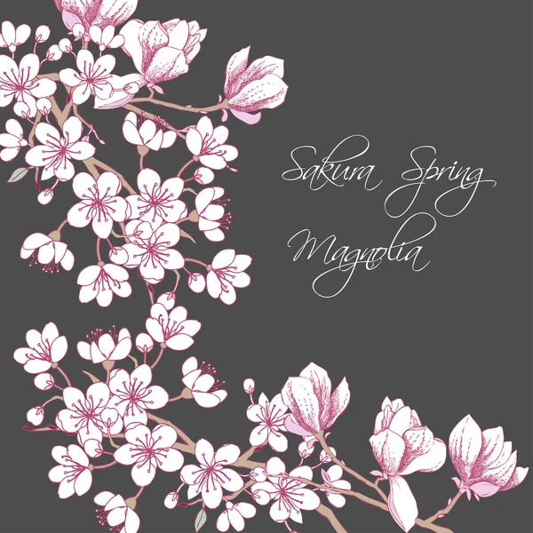 Sakura ve Manolya — Stok Vektör
