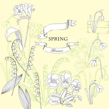 kardelen ile arka plan