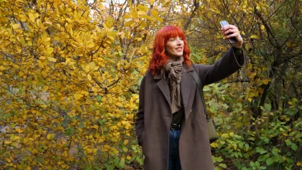 Девушка в осеннем парке делает селфи — стоковое видео