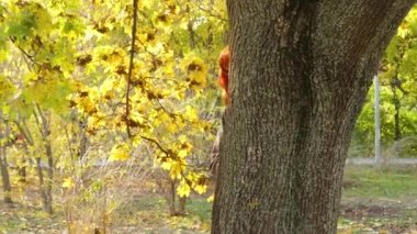 Sonbahar parkında kızıl saçlı kız.