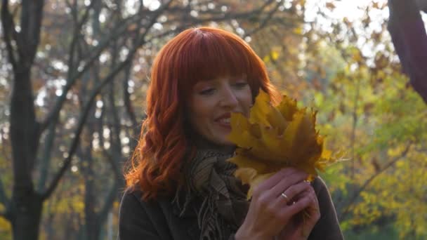 Sonbahar parkında kızıl saçlı kız. — Stok video