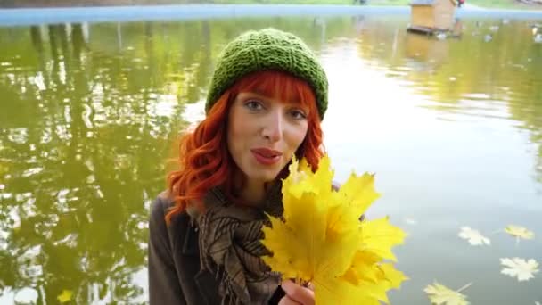 Fille aux cheveux roux dans le parc d'automne — Video