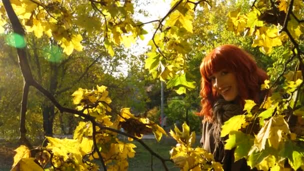 Dívka s rudými vlasy v podzimním parku — Stock video