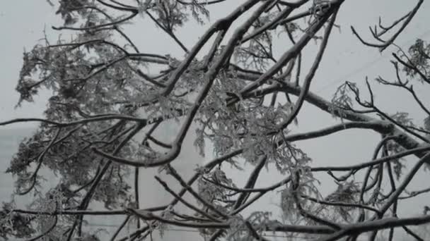 La vista dalla finestra alla neve che cade — Video Stock