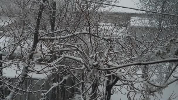 Utsikten från fönstret till den fallande snön — Stockvideo