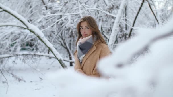 Dziewczyna w snowy drzewa gałęzie — Wideo stockowe