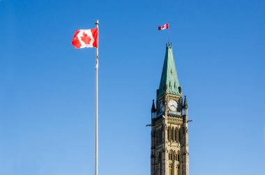 Barış Kulesi Ottawa, Kanada yakın çekim