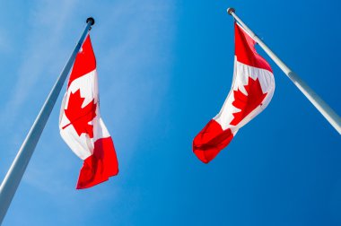 Mavi gri gökyüzü sallayarak iki Kanada bayrakları