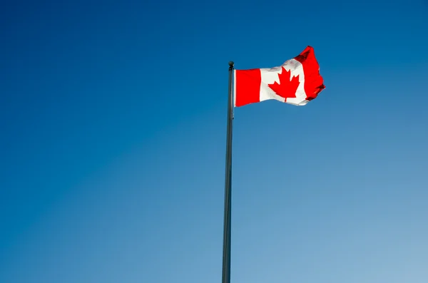 Bandera canadiense ondeando sobre el cielo azul —  Fotos de Stock