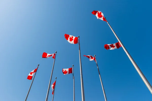 Banderas canadienses ondeando sobre el cielo azul —  Fotos de Stock