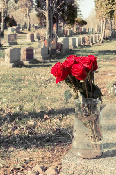 Bouquet of red roses in a vase in a cemetery, with a fading retr — Stock Photo, Image