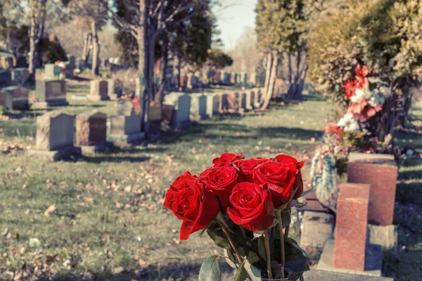 Bouquet di rose rosse in un vaso in un cimitero, con un retr dissolvenza — Foto Stock