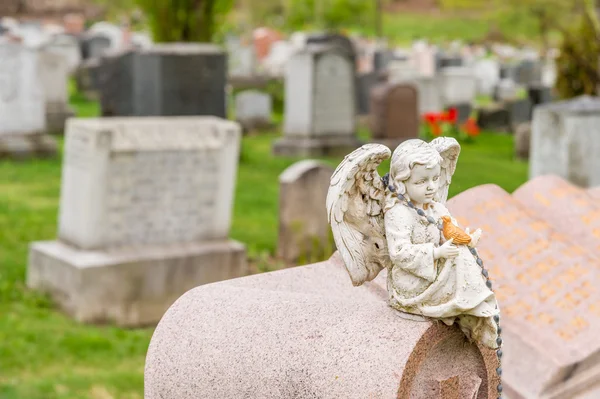 Standbeeld van cherub houden van een vogel en zittend op een grafsteen — Stockfoto