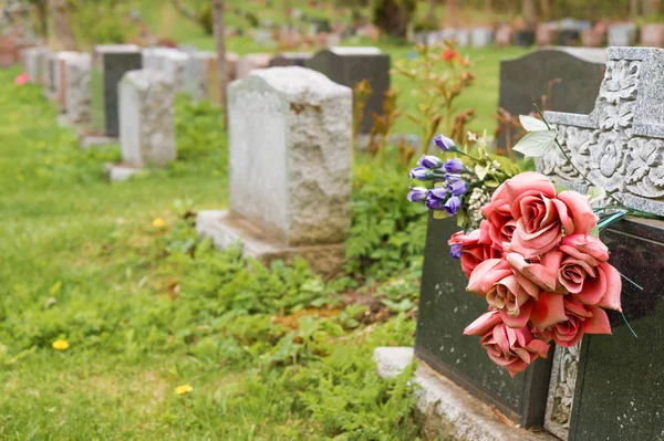 Flores em uma lápide em um cemitério com centenas de lápides — Fotografia de Stock