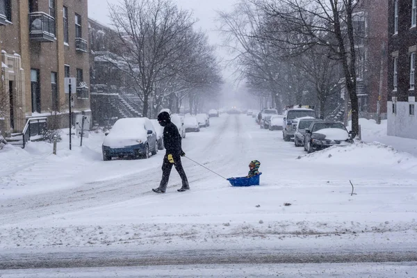 Montreal Lutego 2021 Tata Ciągnący Dziecko Sankach Podczas Opadów Śniegu — Zdjęcie stockowe