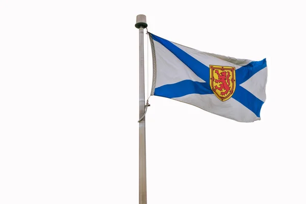 Bandera Nueva Escocia Sobre Fondo Blanco —  Fotos de Stock