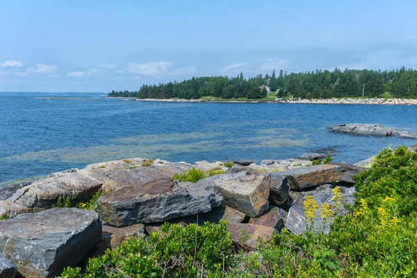 Sedimentgesteine Der Küste Blue Rocks Nova Scotia Kanada — Stockfoto