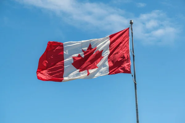 Bandera Canadá Halifax Nova Scotia Canada —  Fotos de Stock