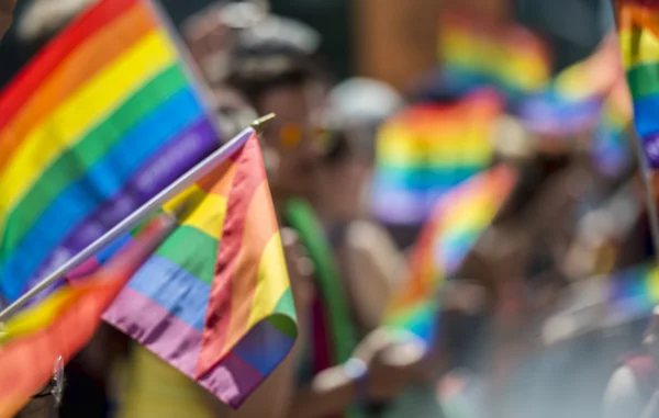 Gay orgulho espectadores carregando arco-íris gay bandeiras — Fotografia de Stock