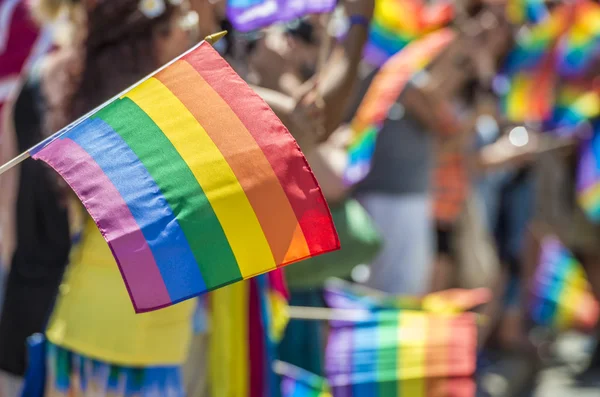 Gay orgulho espectadores carregando arco-íris gay bandeiras — Fotografia de Stock