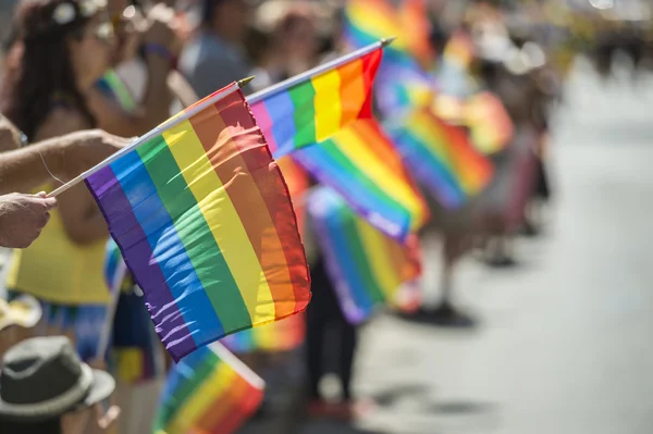 GayPride espectadores llevando arco iris gay banderas Fotos de stock